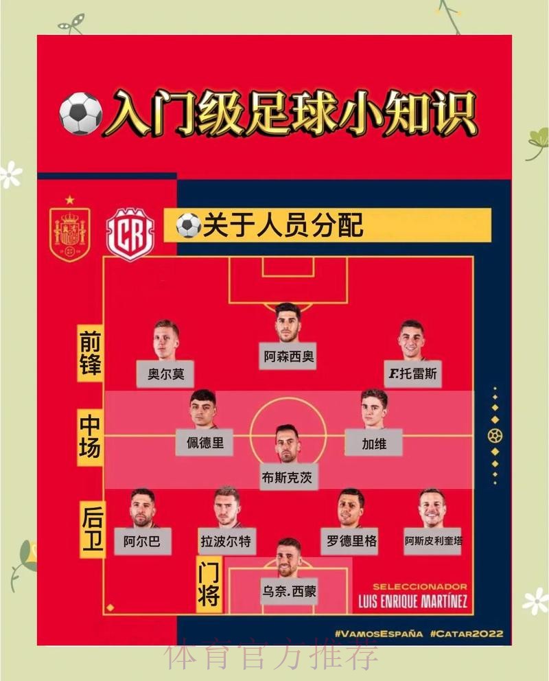 世界杯买球入口新手指南与推荐